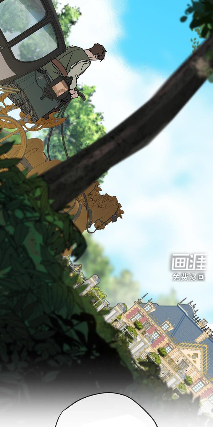 第14章：打扮