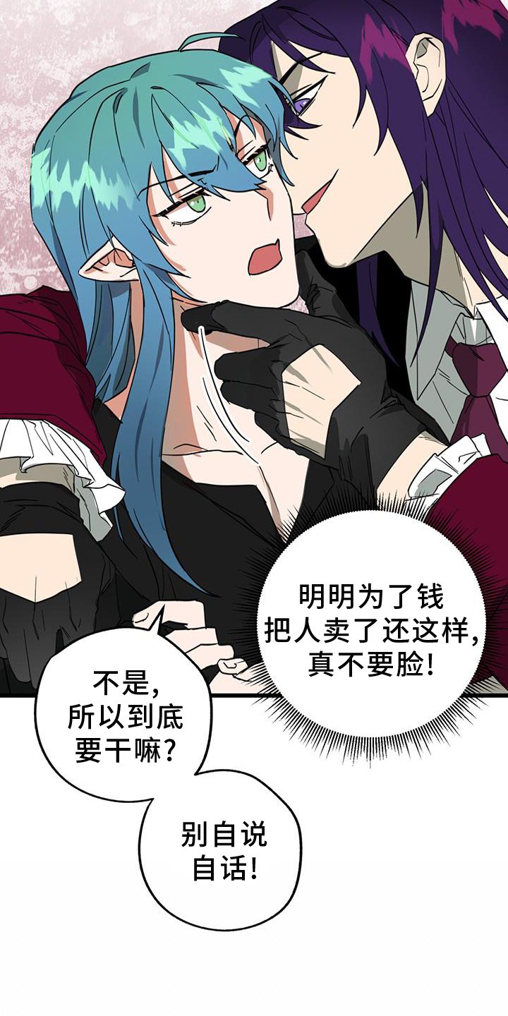 第14章：打扮