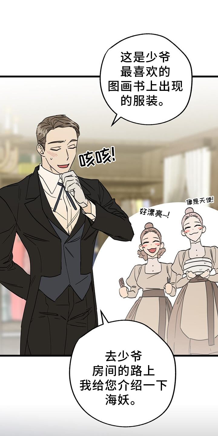 第15章：精灵