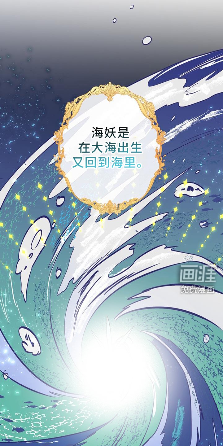 第15章：精灵