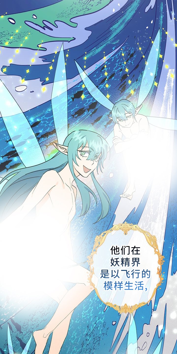 第15章：精灵