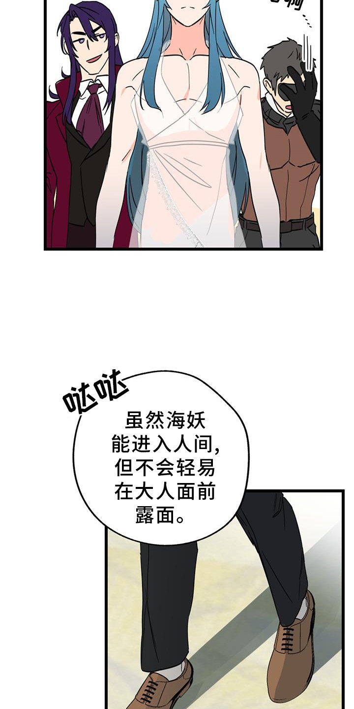 第15章：精灵