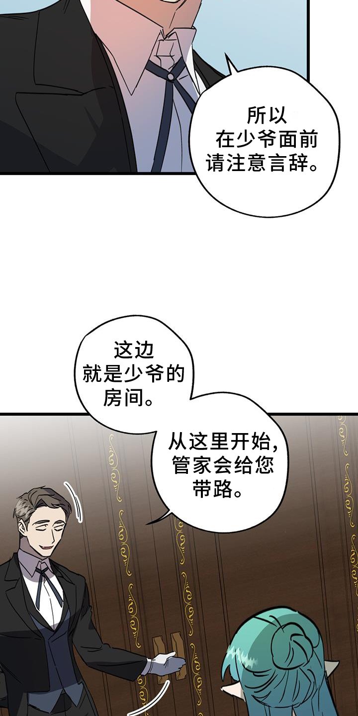 第15章：精灵