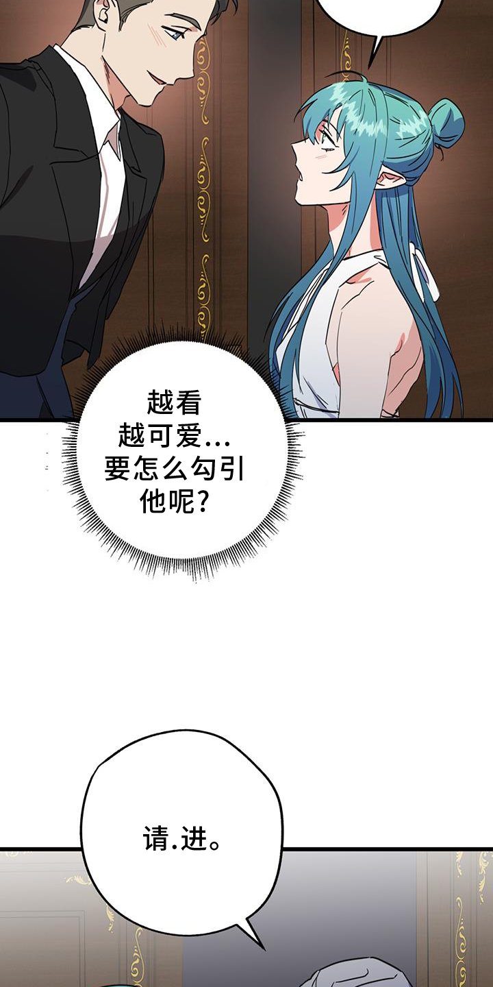 第15章：精灵