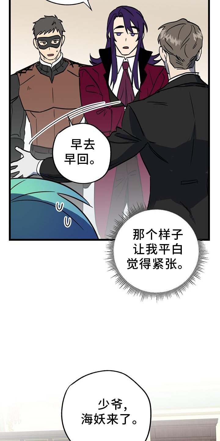 第15章：精灵