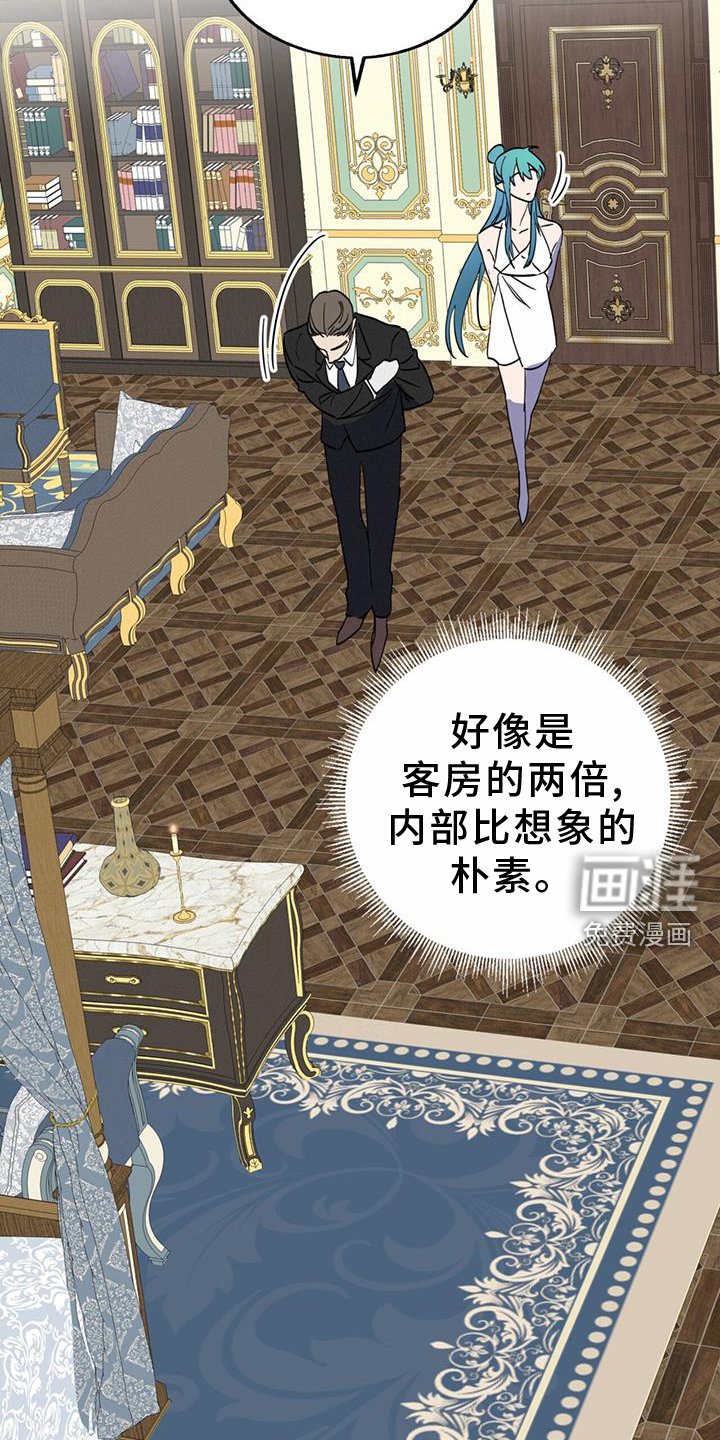 第15章：精灵