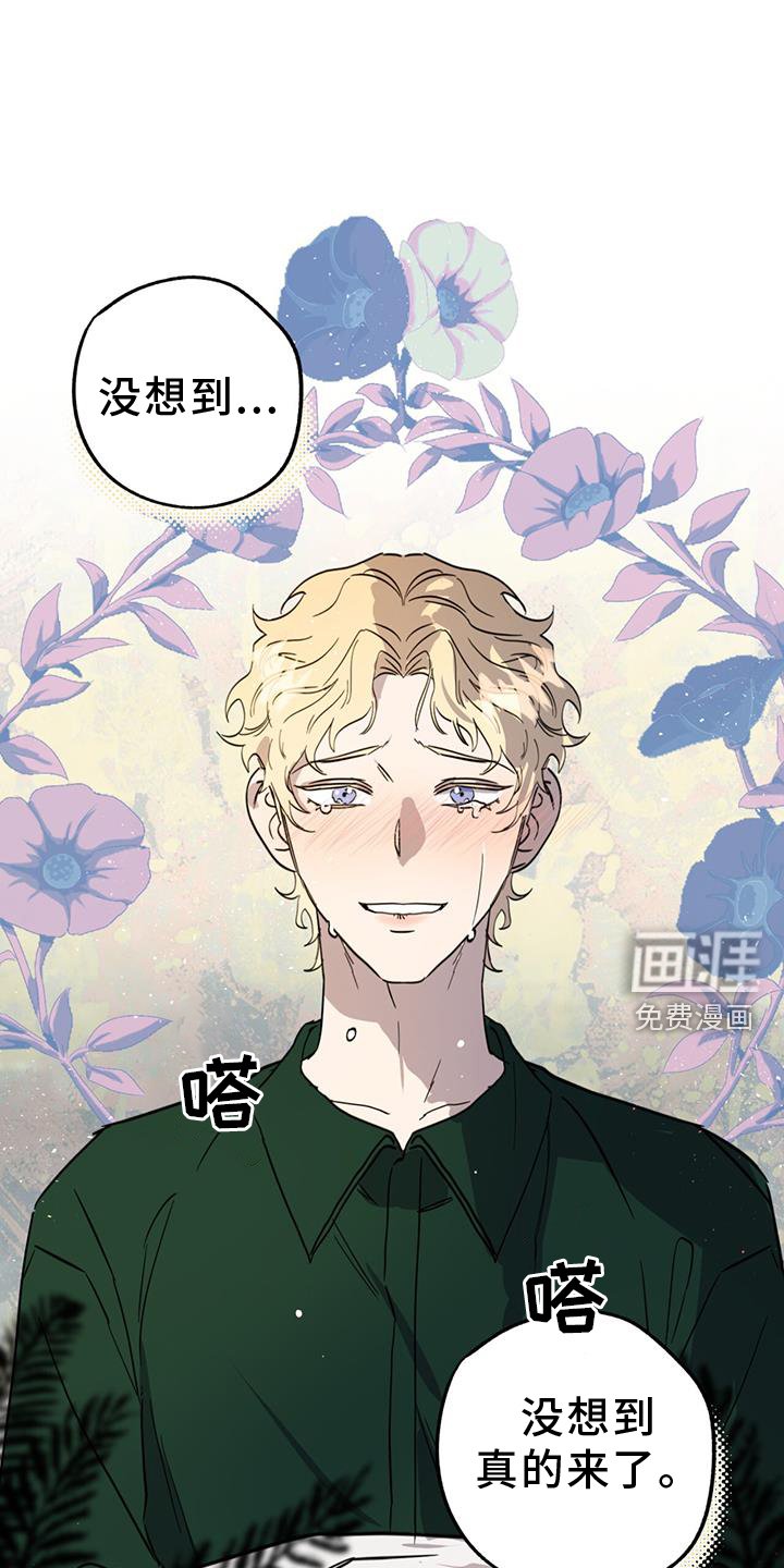 第15章：精灵