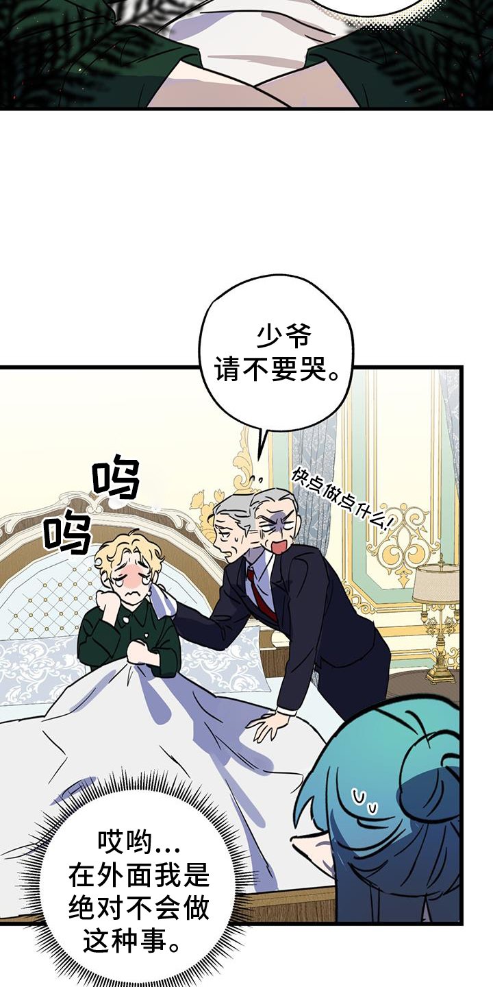第15章：精灵