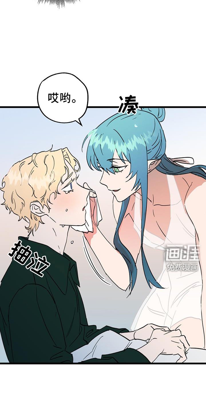 第15章：精灵