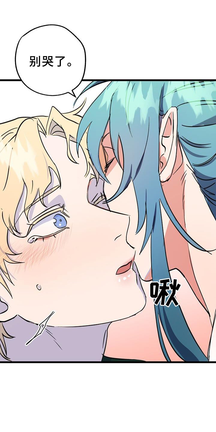 第15章：精灵