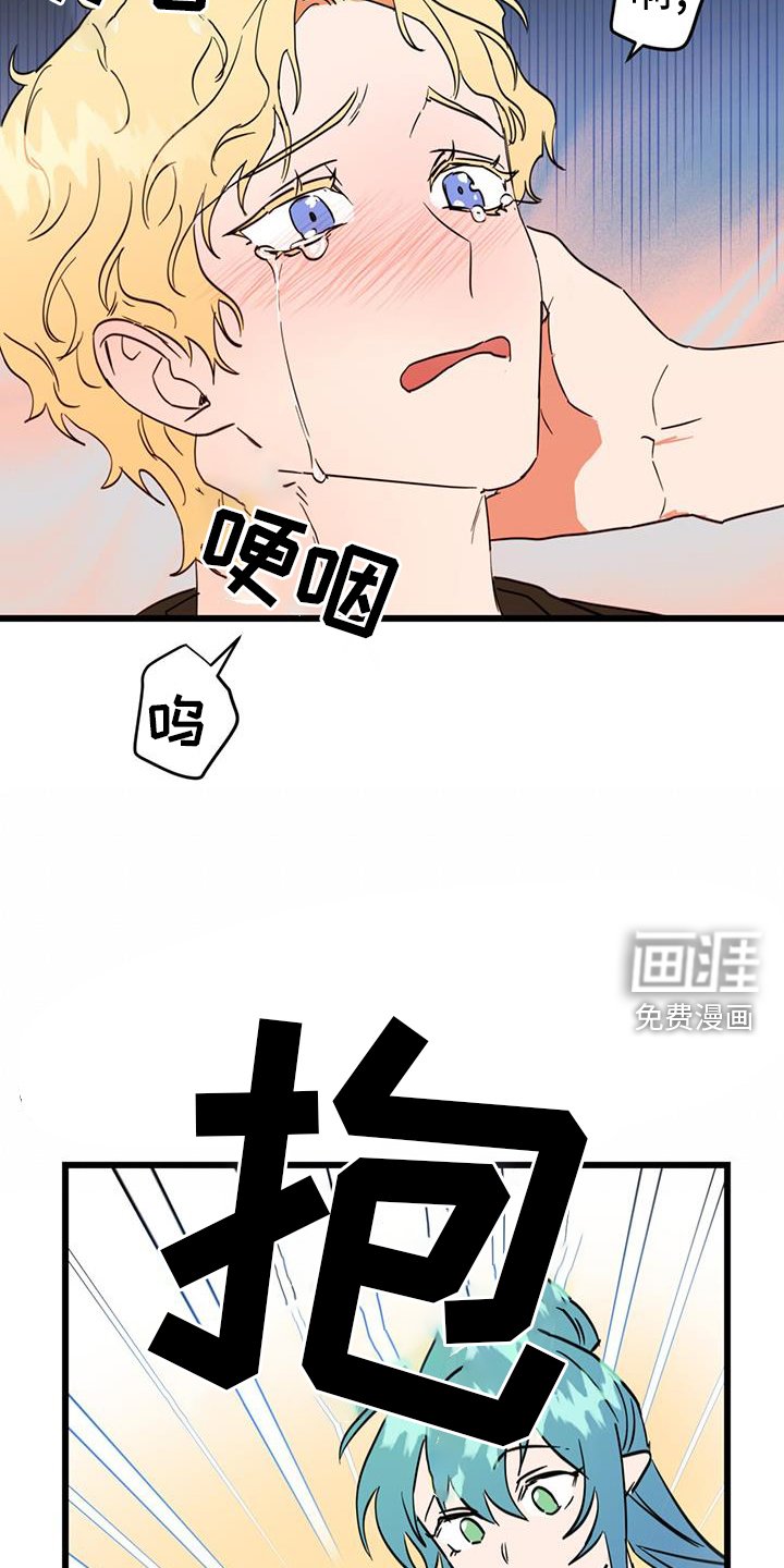 第15章：精灵