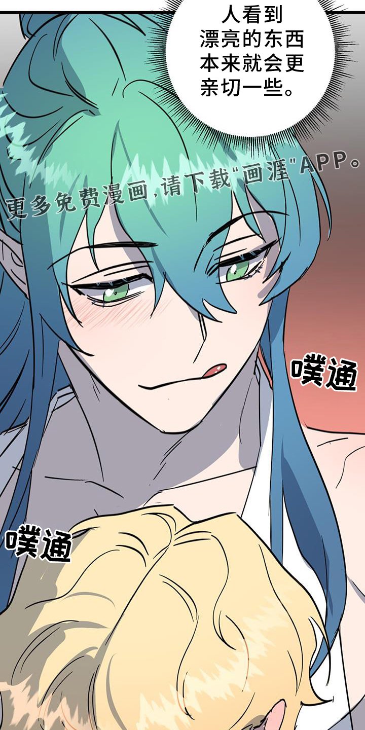 第15章：精灵