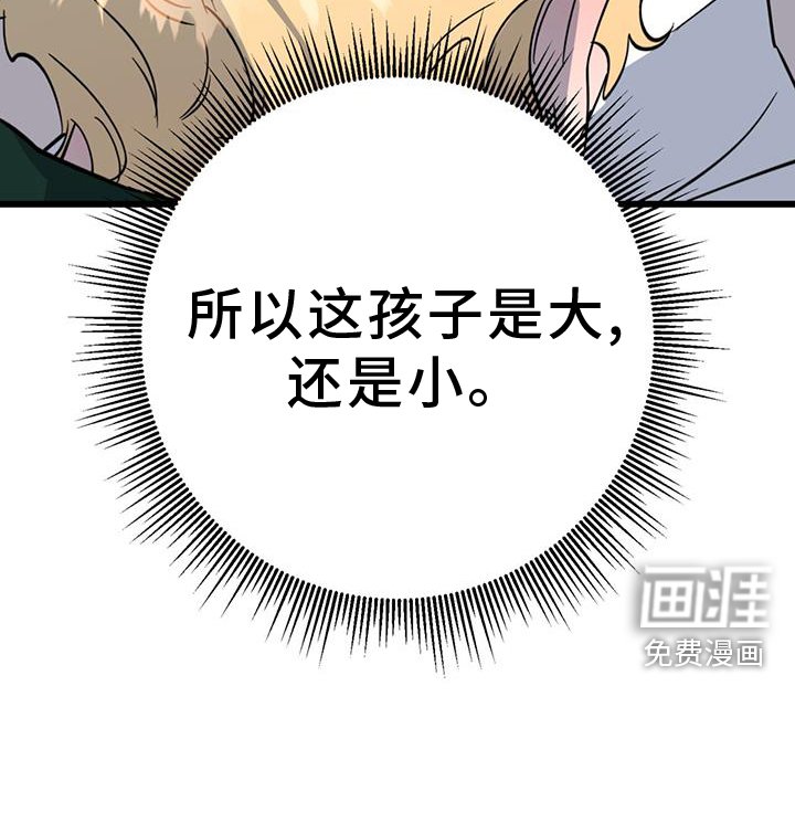 第15章：精灵