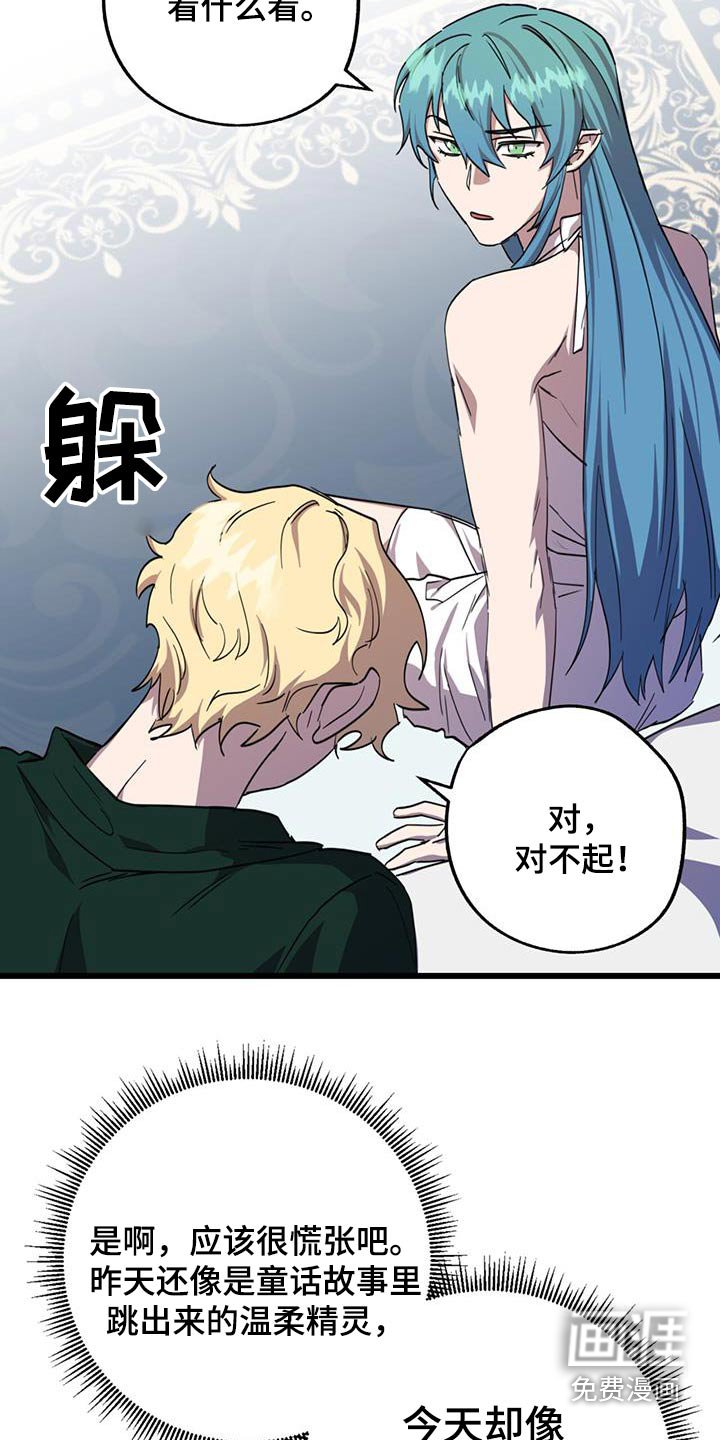 第20章：项链