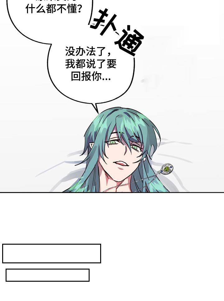 第20章：项链