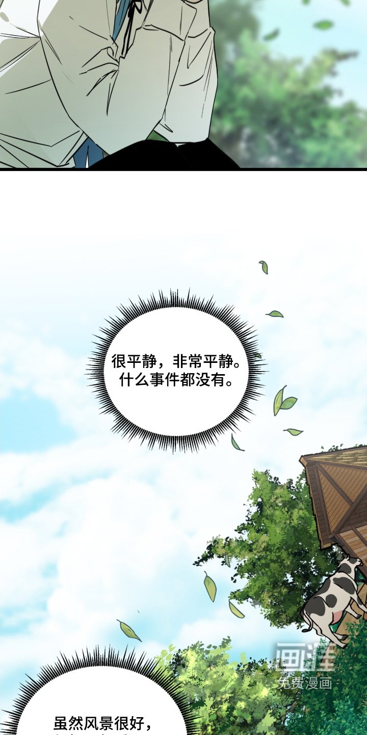 第29章：最后一次