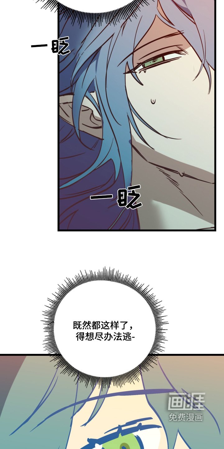 第31章：我来接你