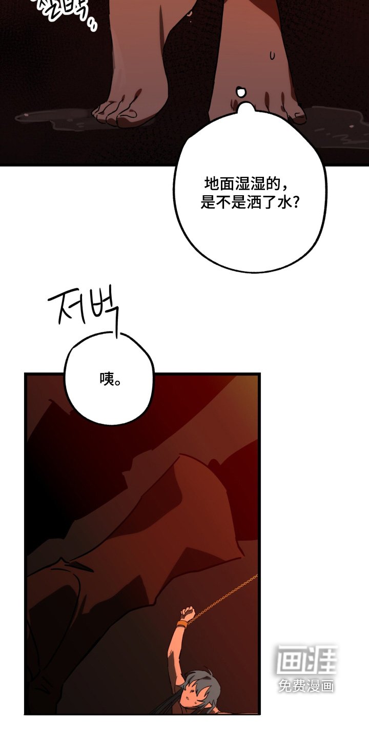第42章：解释一下