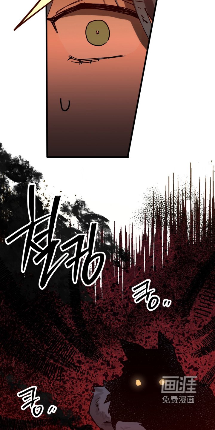 第42章：解释一下