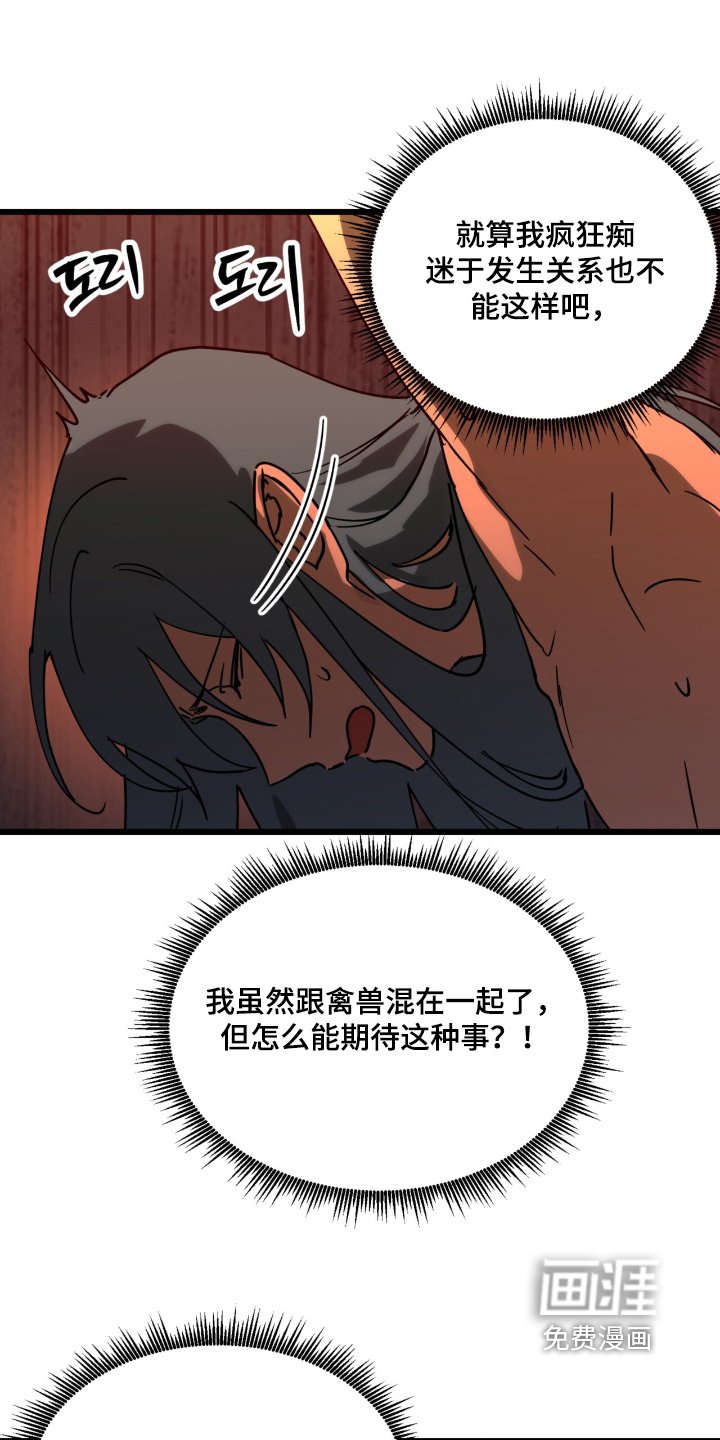 第42章：解释一下