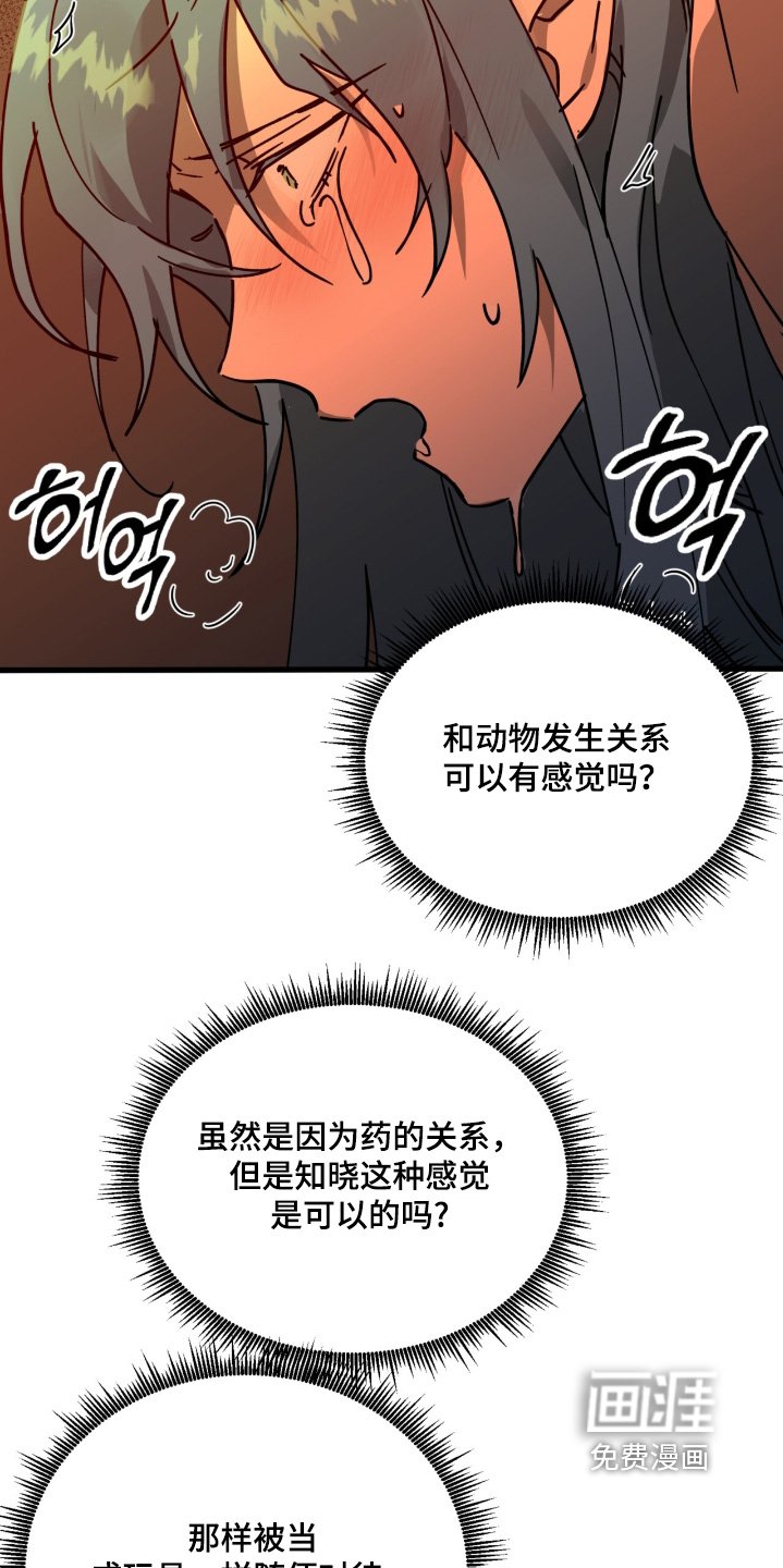 第42章：解释一下