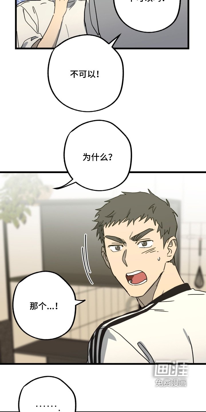 第46章：你喜欢我