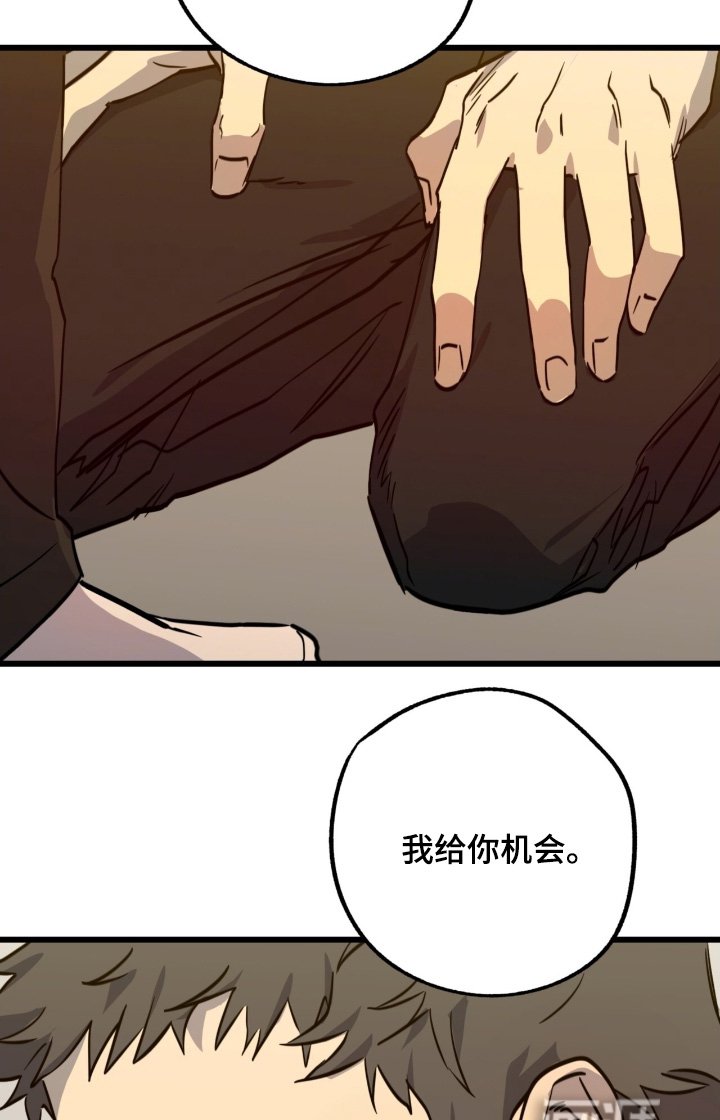第48章：给你机会