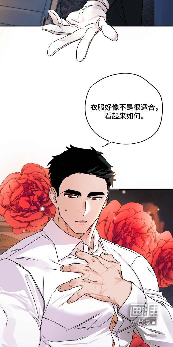 第49章：大家一起【完结】