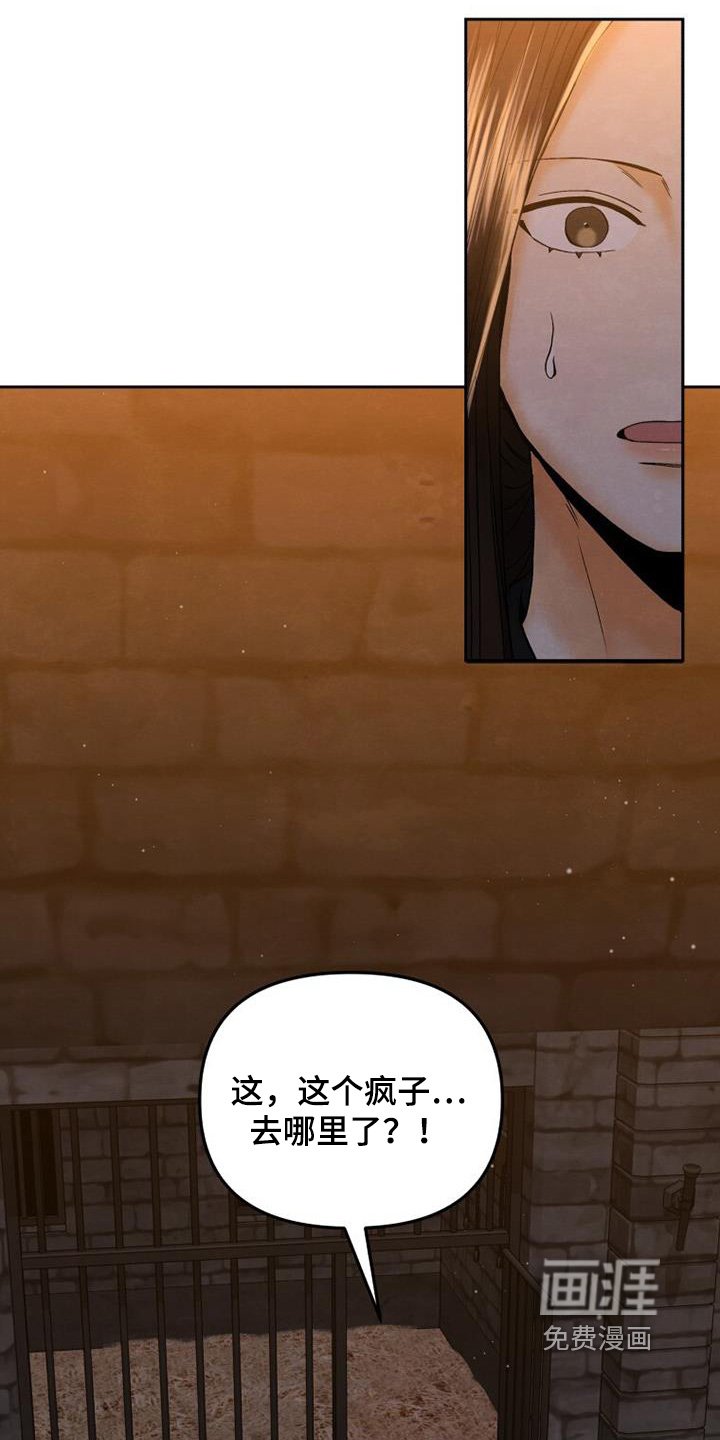 第43章：去哪里了