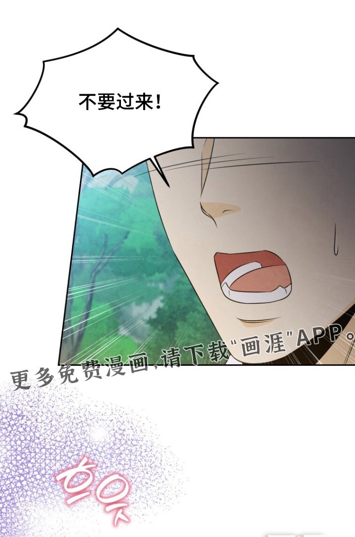 第82章：这是命令