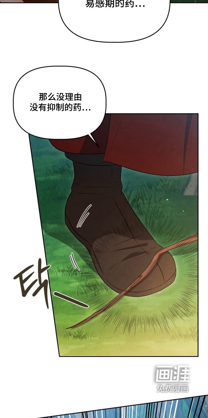 第82章：这是命令
