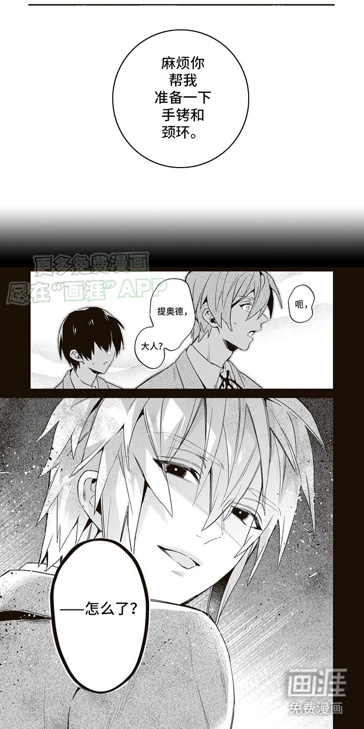 第17章：我的荣幸（完结）
