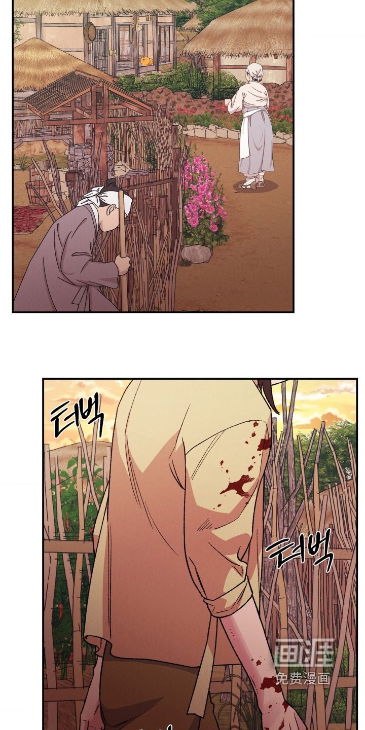 第19章：为何会伤成这样