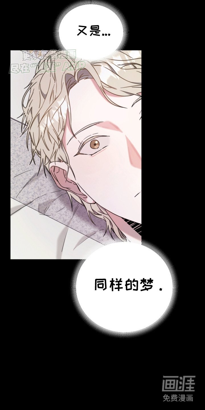 第4章：挑衅