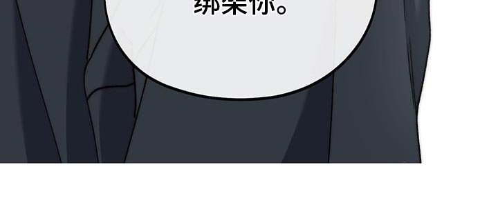 第47章：绑架你