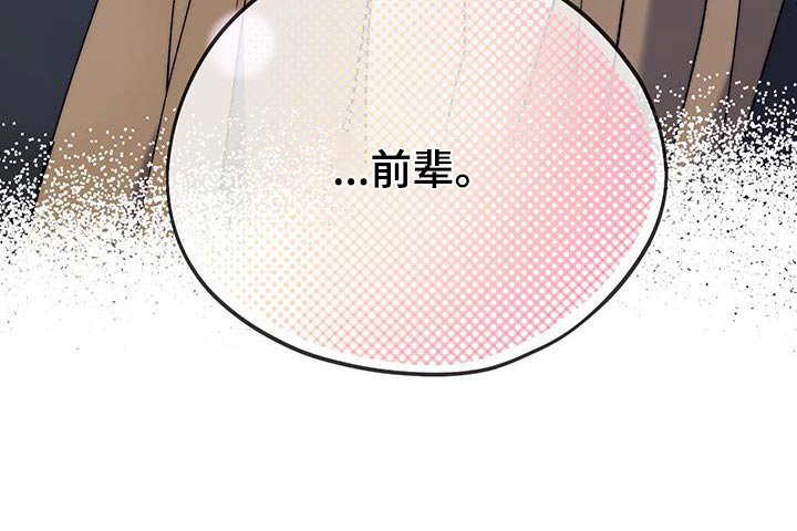 第50章：新人【完结】