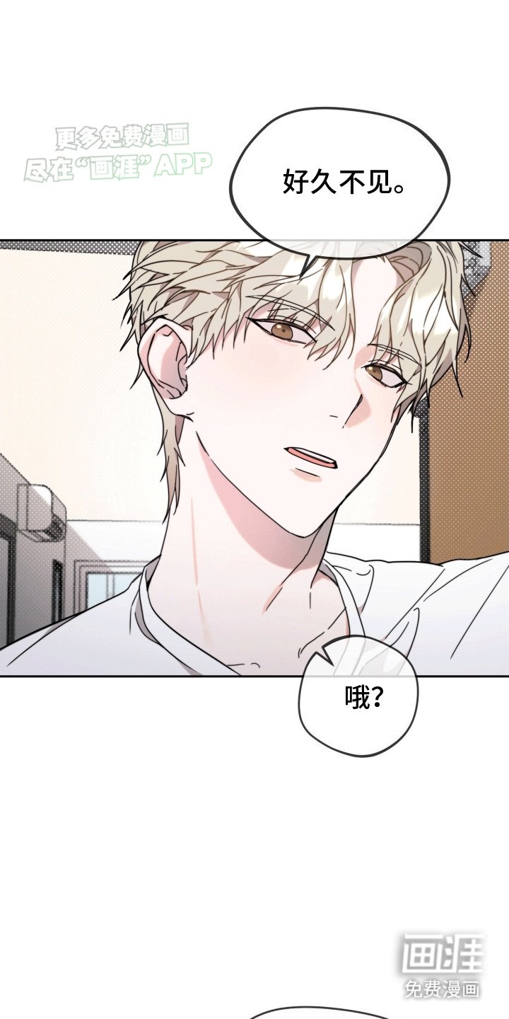第7章：道歉