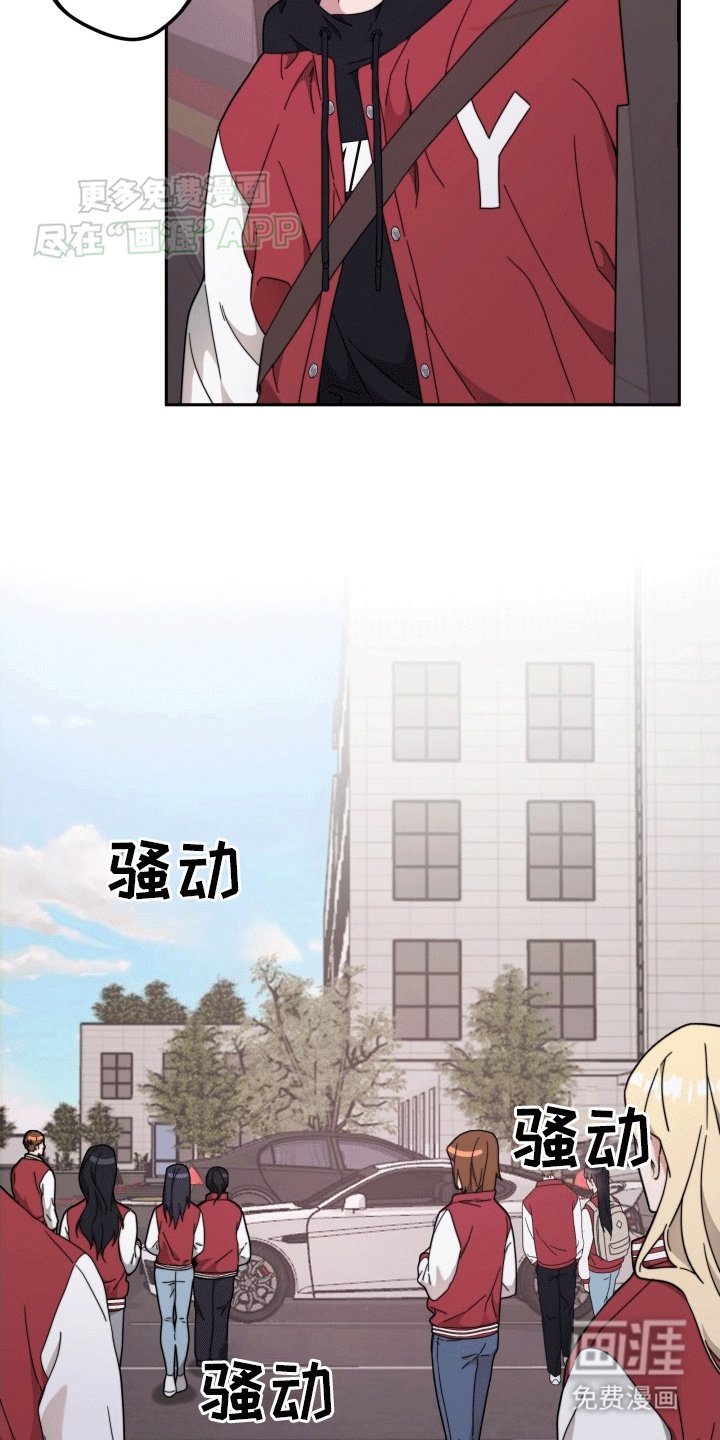 第9章：树大招风