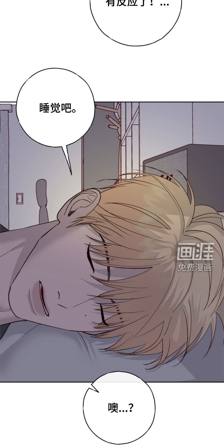 第104章：【第二季】一直幻想着你