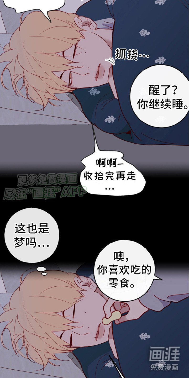 第13章：胡思乱想