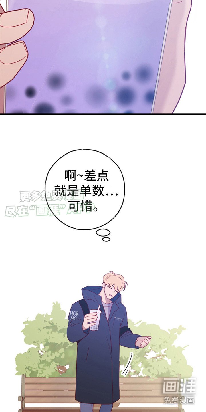 第13章：胡思乱想