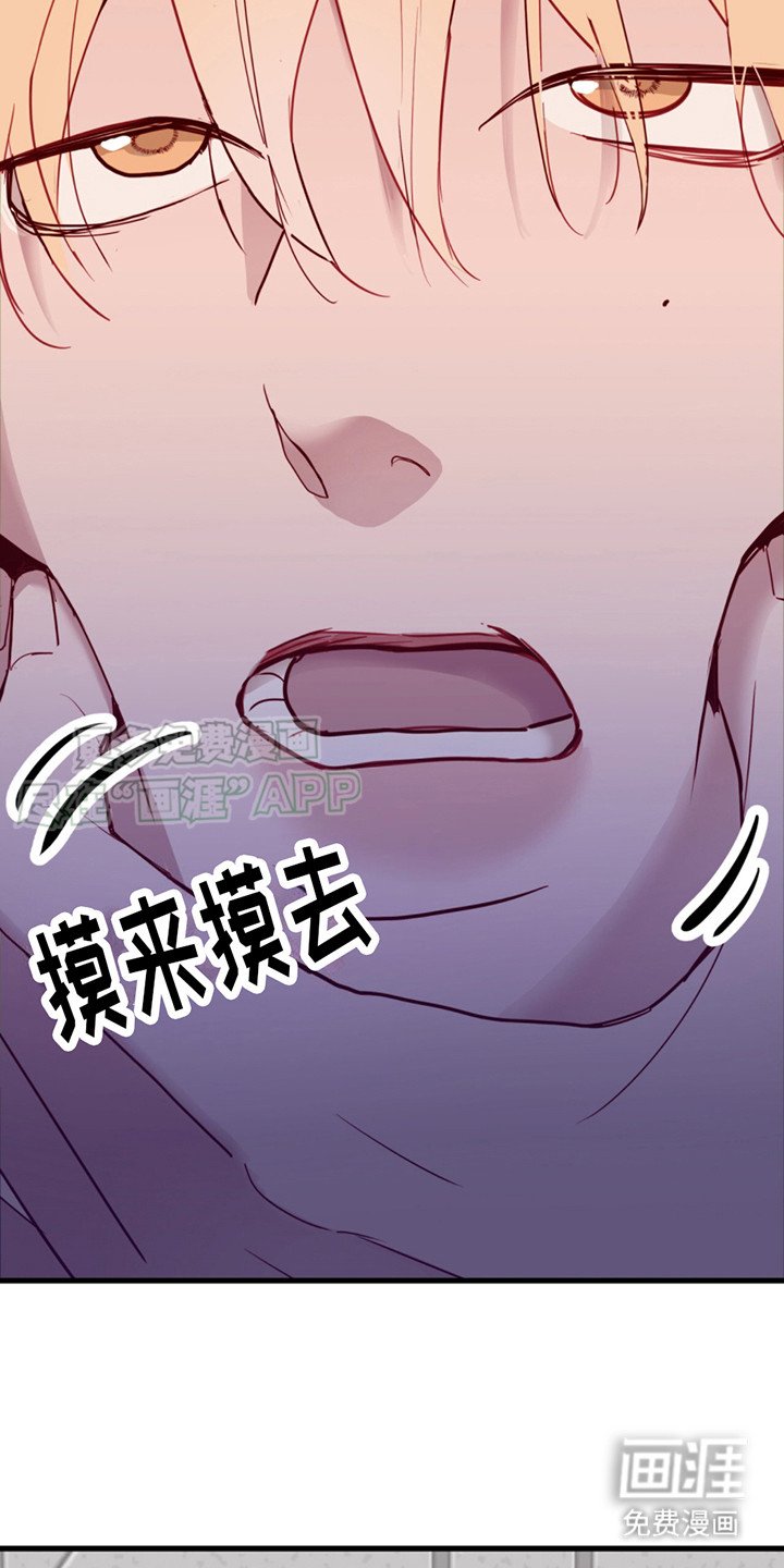 第13章：胡思乱想