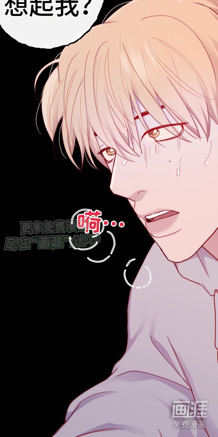 第20章：躲闪
