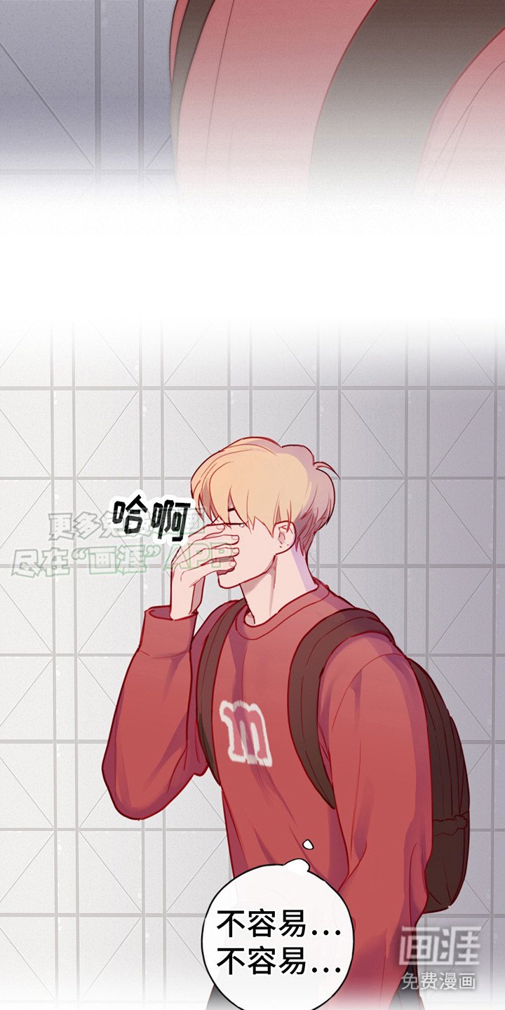 第20章：躲闪
