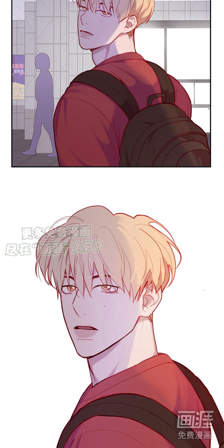 第20章：躲闪