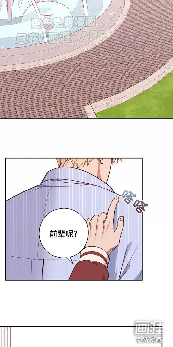 第26章：集合