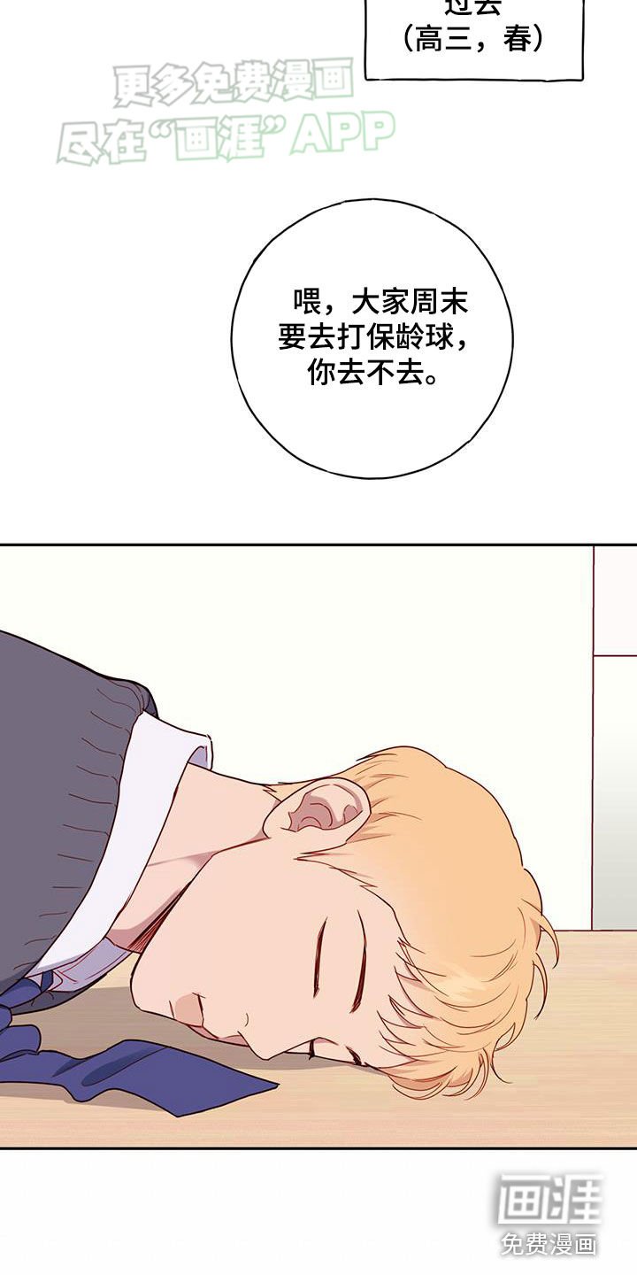 第26章：集合