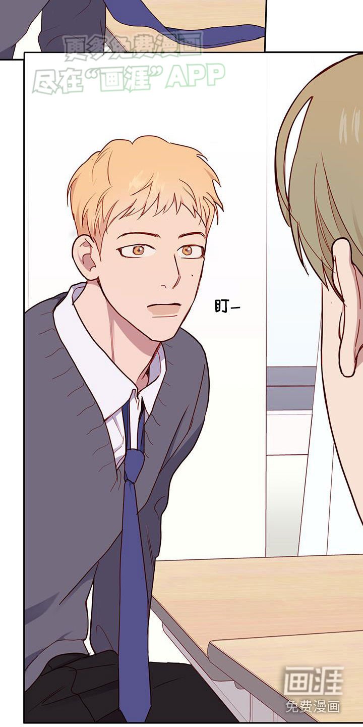 第26章：集合