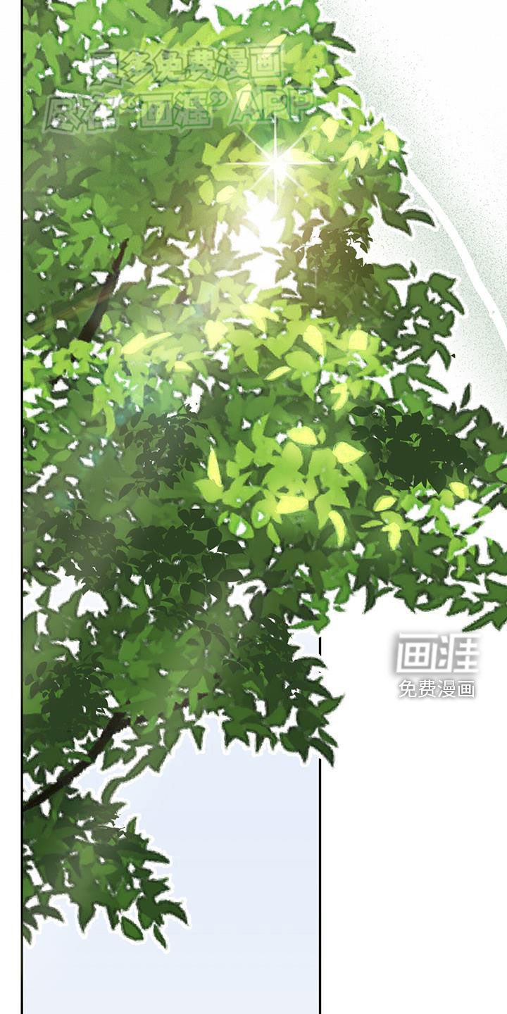 第28章：有点漂亮