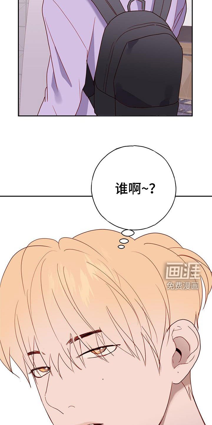 第37章：考试周